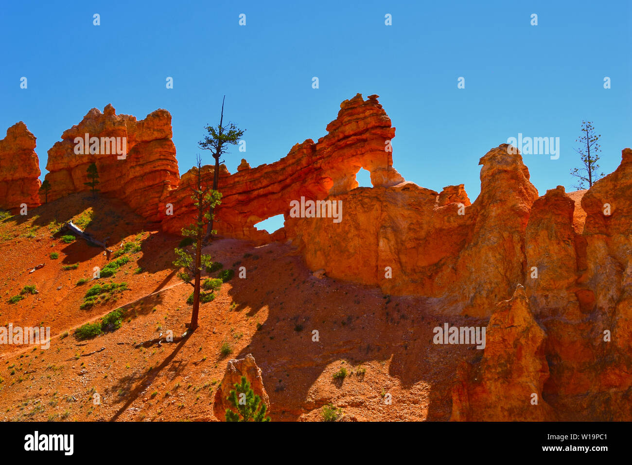 Rock formations dans le sud-ouest de l'Utah, USA Banque D'Images