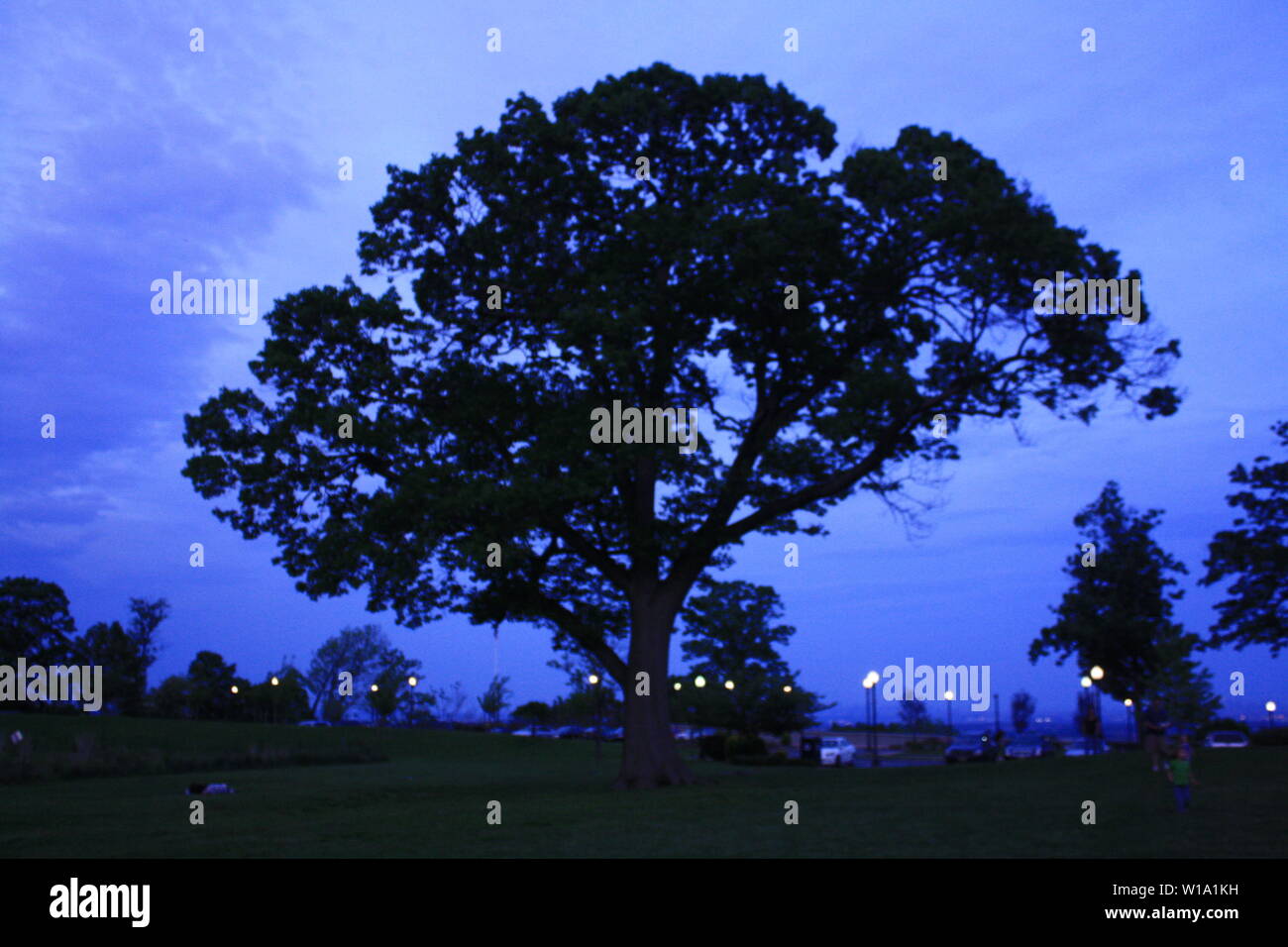 Comme la nuit tombe Banque D'Images