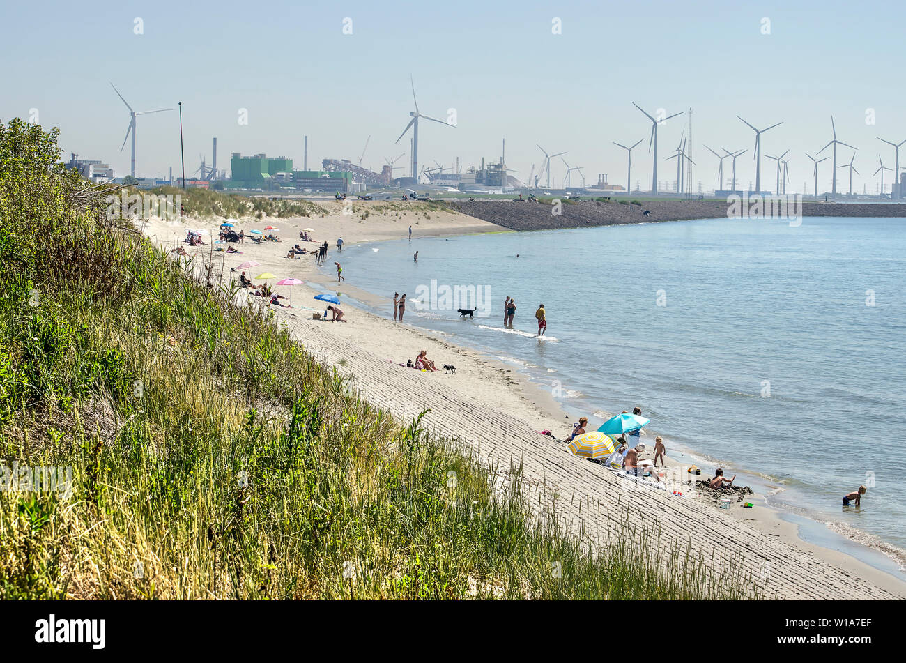 Vlissingen, Pays-Bas, le 29 juin 2019 : plage étroite sur l'estuaire de l'Escaut occidental sur une journée ensoleillée avec les éoliennes de la zone industrielle de sloe Banque D'Images
