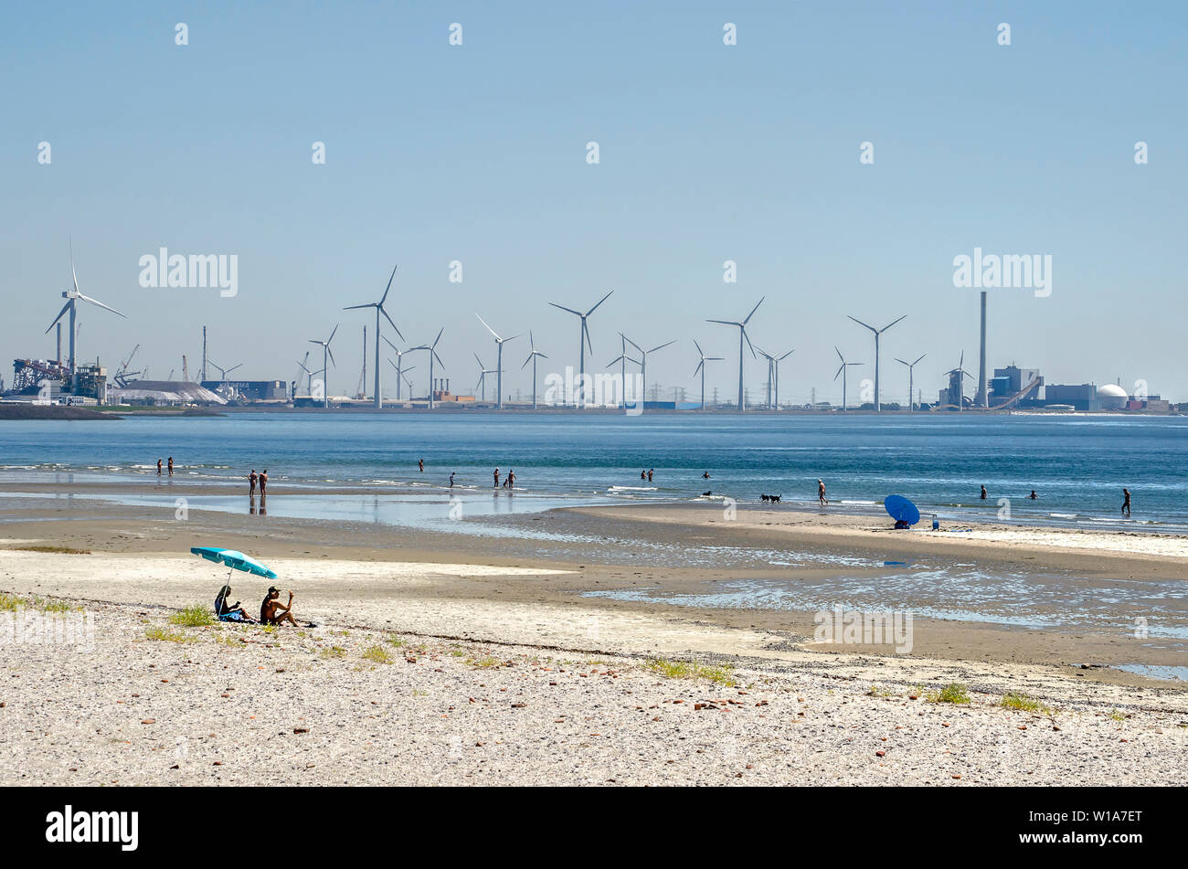 Vlissingen, Pays-Bas, le 29 juin 2019 : plage de la côte de l'estuaire de l'Escaut occidental, un jour ensoleillé, avec en arrière-plan la zone industrielle de sloe Banque D'Images
