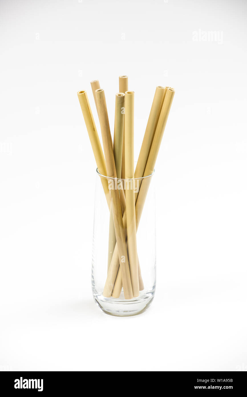 Daily Treasures Lot de 18 pailles en bambou réutilisables 100 % naturelles de 20,1 cm, biodégradables, pailles droites Boba Smoothie, alternative aux pailles en plastique avec brosse en nylon Daily Treasures Lot de 18 pailles en bambou réutilisables 100 % naturelles de 20,1 cm, biodégradables, pailles droites Boba Smoothie, alternative aux pailles en plastique avec brosse en nylon