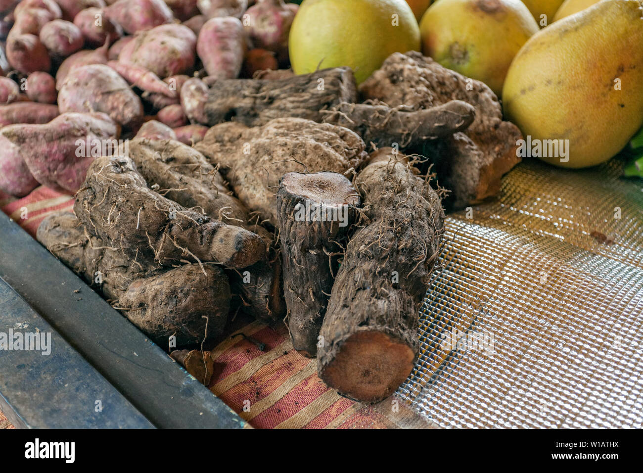 Racines à Sir Selwyn Clarke market sur Market Street, Victoria, Mahe, Seychelles, océan Indien, Afrique Banque D'Images