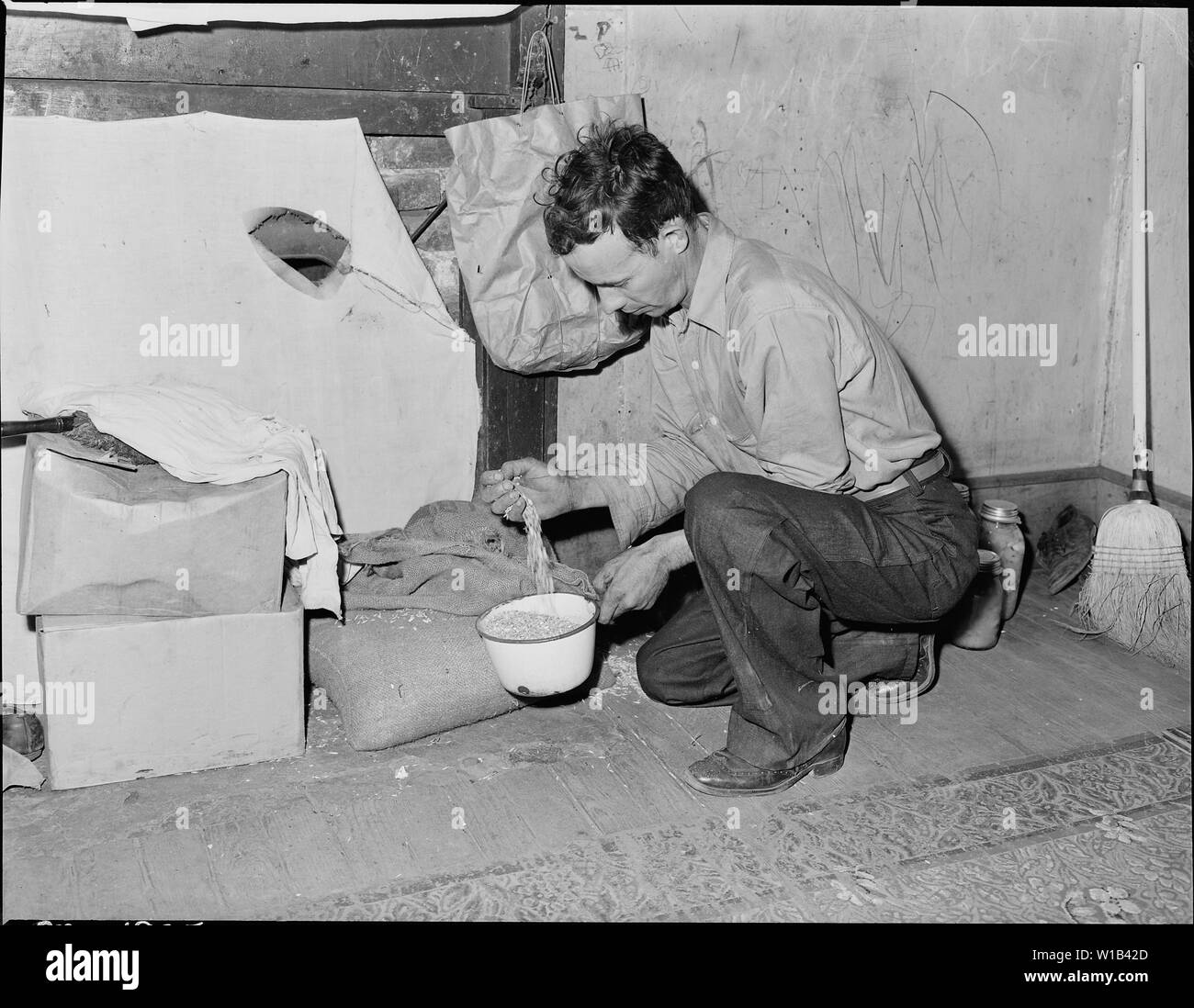 Bill Daniels se nourrir à partir de l'alimentation du poulet qu'il doit entreposer les sacs dans l'une de ses trois chambres. Le Frêne rouge panthère Coal Corporation, Douglas Mine, panthère, McDowell County, Virginie occidentale. Banque D'Images