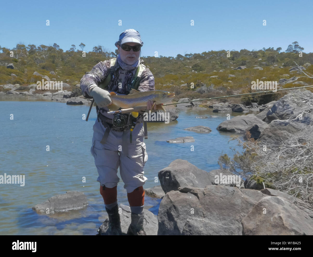 Un pêcheur et de la truite dans les lacs de l'ouest de la Tasmanie Banque D'Images