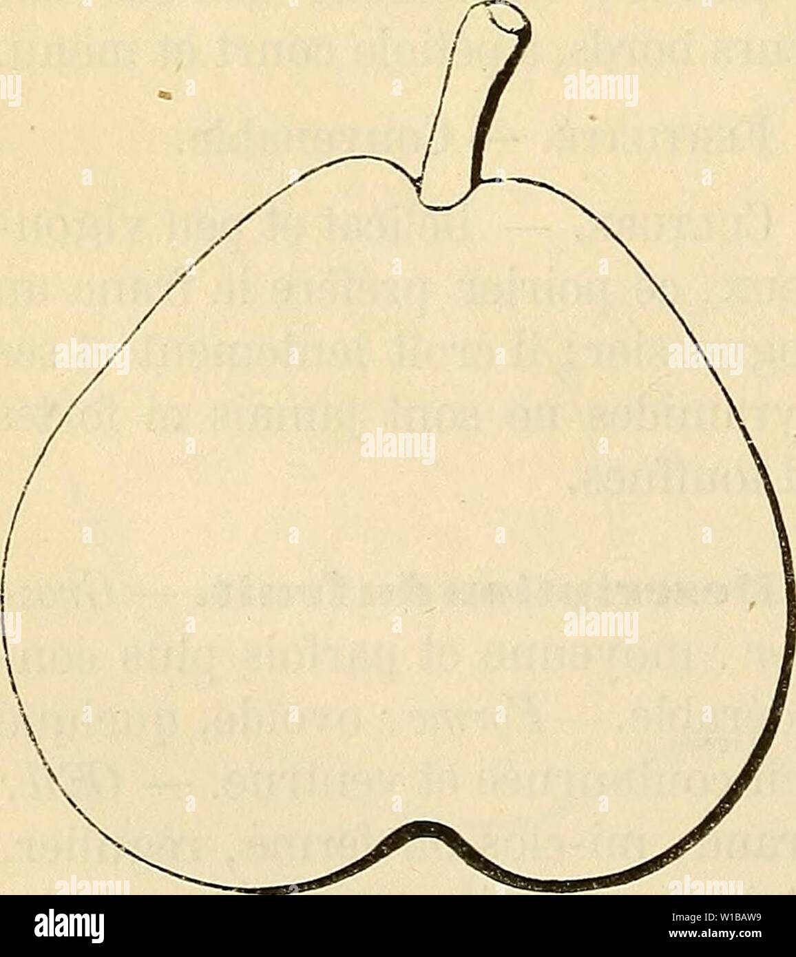 Image d'archive à partir de la page 355 du Dictionnaire de mairie (Kiel) contenant. Dictionnaire de mairie (Kiel) : contenant l'histoire, la description, la figure des fruits anciens et des fruits modernes les plus gÃnÃralement . dictionnairedepo cultivÃs connus et001lero Année : 1867 348 BEU [beurrÃ DEL â der] rouge-brun du cÃ'tÃ du soleil. - Présidence : blanche, TRÀ¨s-fme, aqueuse, fondante, pierreuse. - Eau : abondante, sucrÃe, rafraÃ®chissante, dÃlicieusement aromatisÃe. MaturitÃ. - Fin septembre et début d'octobre. QualitÃ. Â PremiÃ¨re. Historique. - C'est encore lÃ gain de l'ONU du professeur belge Yan Lun Banque D'Images