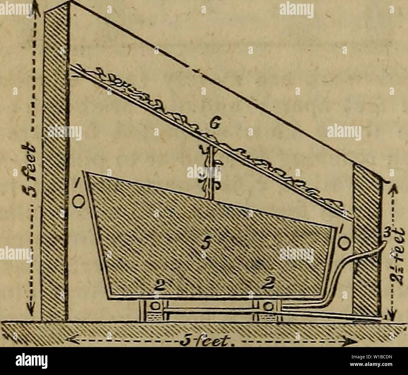 Image d'archive à partir de la page 367 d'un dictionnaire de jardinage moderne. Un dictionnaire de jardinage moderne . dictionaryofmode01john Année : 1847 l'ensemencement avant février est bien ad- vanced, et plus le risque d'échec engager- rouge. En moyenne, quinze semaines s'écouler ; sur le chemin le plus court et le plus froid de l'hiver, dix-huit jours ; et à mesure que le printemps avance elle diminue à onze ou douze ; ces périodes varient nécessairement en des années différentes. Le mode de semis, la gestion du semis, out, &c, étant le même que l'aide d'une chaudière de selle, avec quatre tuyaux de 81 cm autour du passage à l'extérieur de la fosse qui prickin j, tuyaux Banque D'Images