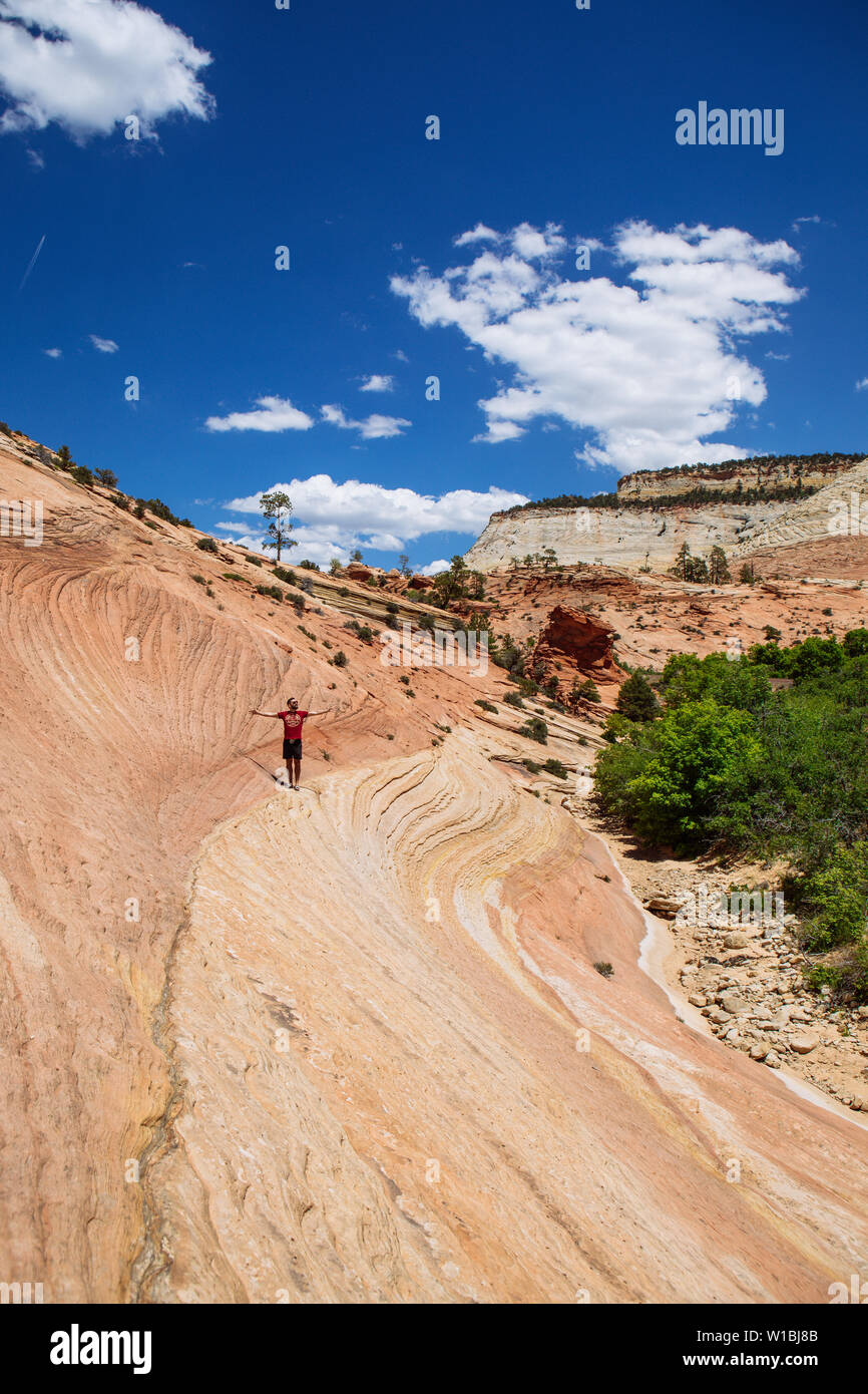 Un touriste homme debout avec les bras grands ouverts sur les lignes formées dans des formations de grès navajo, Zion National Park, Utah, USA Banque D'Images