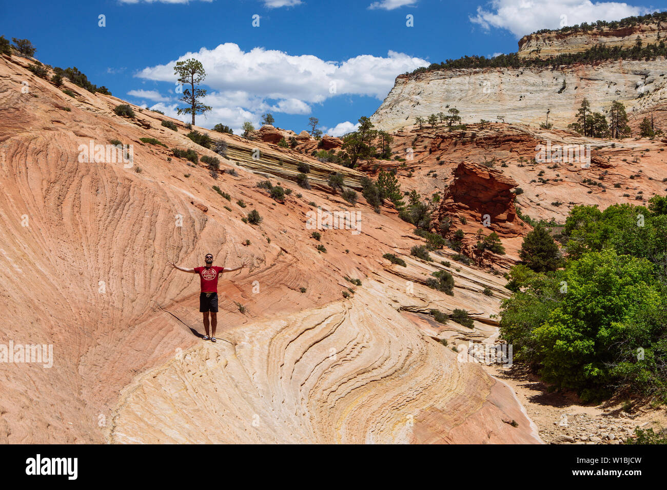Un touriste homme debout avec les bras grands ouverts sur les lignes formées dans des formations de grès navajo, Zion National Park, Utah, USA Banque D'Images