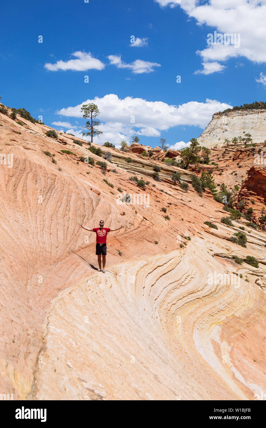 Un touriste homme debout avec les bras grands ouverts sur les lignes formées dans des formations de grès navajo, Zion National Park, Utah, USA Banque D'Images