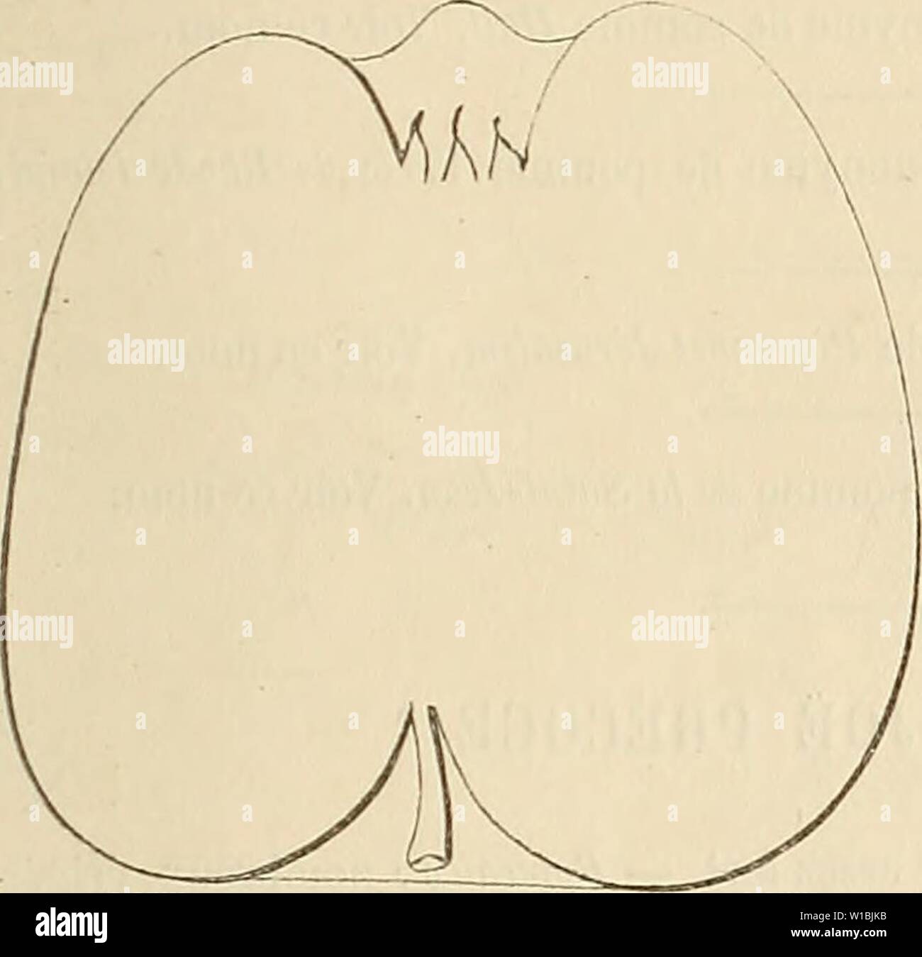 page jaune rencontre