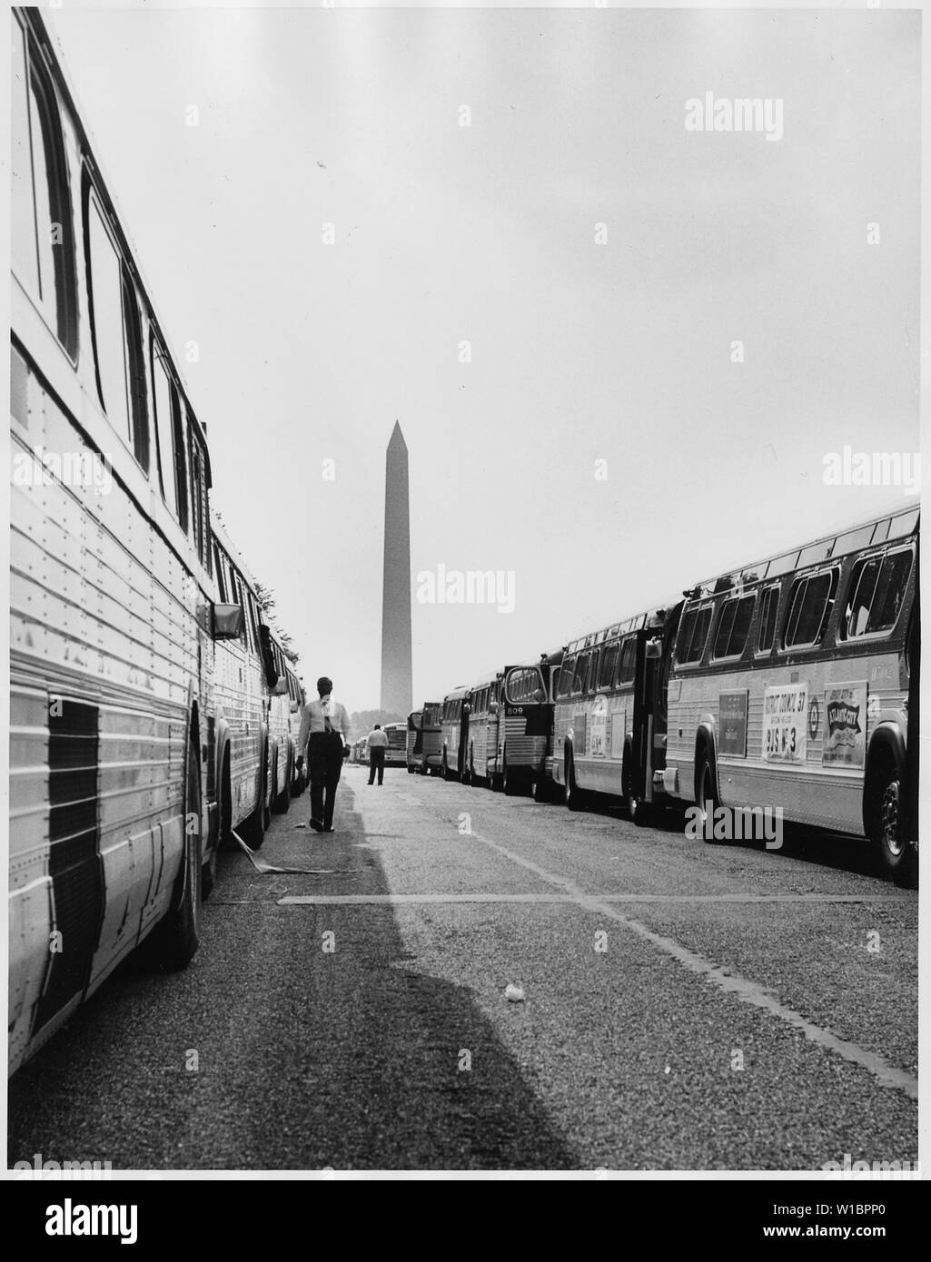 Manifestation à Washington, D.C. [deux longues lignes de certains des autobus utilisés pour le transport des manifestants à Washington.] Banque D'Images