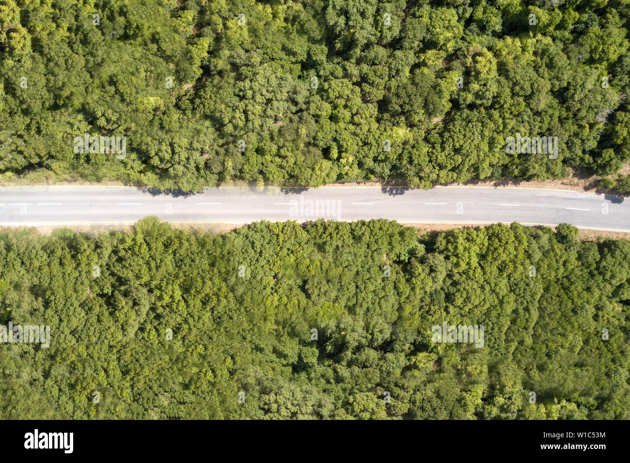 Route de montagne entourée d'une forêt verdoyante, image aérienne. Banque D'Images