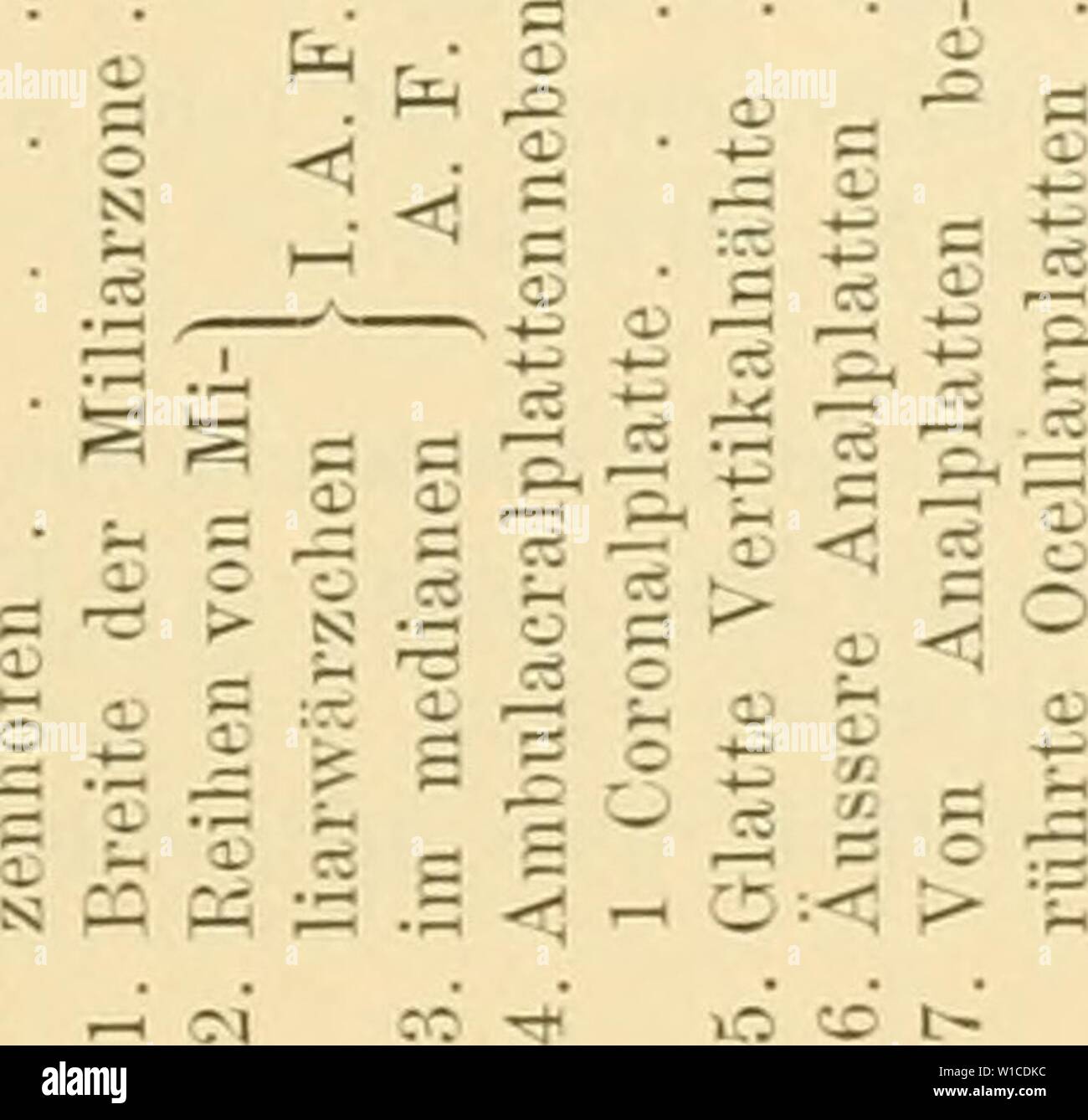 Image d'archive à partir de la page 60 de Die Japanischen Seeigel (1887). Die Japanischen Seeigel . diejapanischense01dd Année : 1887 51 6n e : (D . Un¶ Ã une côte 0¶ Ã J fH j &lt;d ri ce CD o Ã &lt;V ; JO&gt ; o : 'Ã Â ¢-bs)¶ Ã fl CS o f-t 0 N &lt;D 0 X 03. N' Ã 0 (D CO 0 ho TS  =o 3¤ Ã â¢4;t&gt ; 6q CO - - 00 CM 00 ' 00 ' . Â Â&Lt ; t- Ol â ¢ Gl . (M &lt;M  + J. 00 I &lt;M , O 7  +  + - ? 1200 ; - - -1  + CO tD â - rt [ 1- ro C1 â ¢ CO 00' 1 00 IM 1 (M 1 '03 CO â je 'CO j- 1 I Â ¢  + CO CO CO JE tM IM I Â CO ::3  +1  +7 JE L CO J.7 CO ' je plT  =1 im' 00 I d.  + d fM IM ' Ct tM  +1 : J 21:0 I 1 M 4CT ' «7 CO Banque D'Images