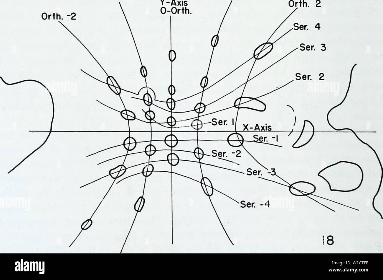 Image d'archive à partir de la page 75 de l'anatomie développementale de l'Isoetes. L'anatomie développementale de l'Isoetes . developmentalana31paol Année : 1963 Orth. -J'Y-Axis Orth. J'Orth. -2 Fig. 17 et 18. Les sections transversales dans la même série que les figures 15 et 16, à des niveaux supérieurs dans l'usine. X 80. Fig. 17. Un niveau proche du méristème basal. Les traces sont bondés. La série n'est plus convergent avec l'axe des x. Fig. 18. Au niveau de la récente des dérivés du méristème basal. Tous les primordia au sein de la série plus jeunes sont inscrits dans les limites de l'orthos- tichies -2 et 2. La série dive Banque D'Images