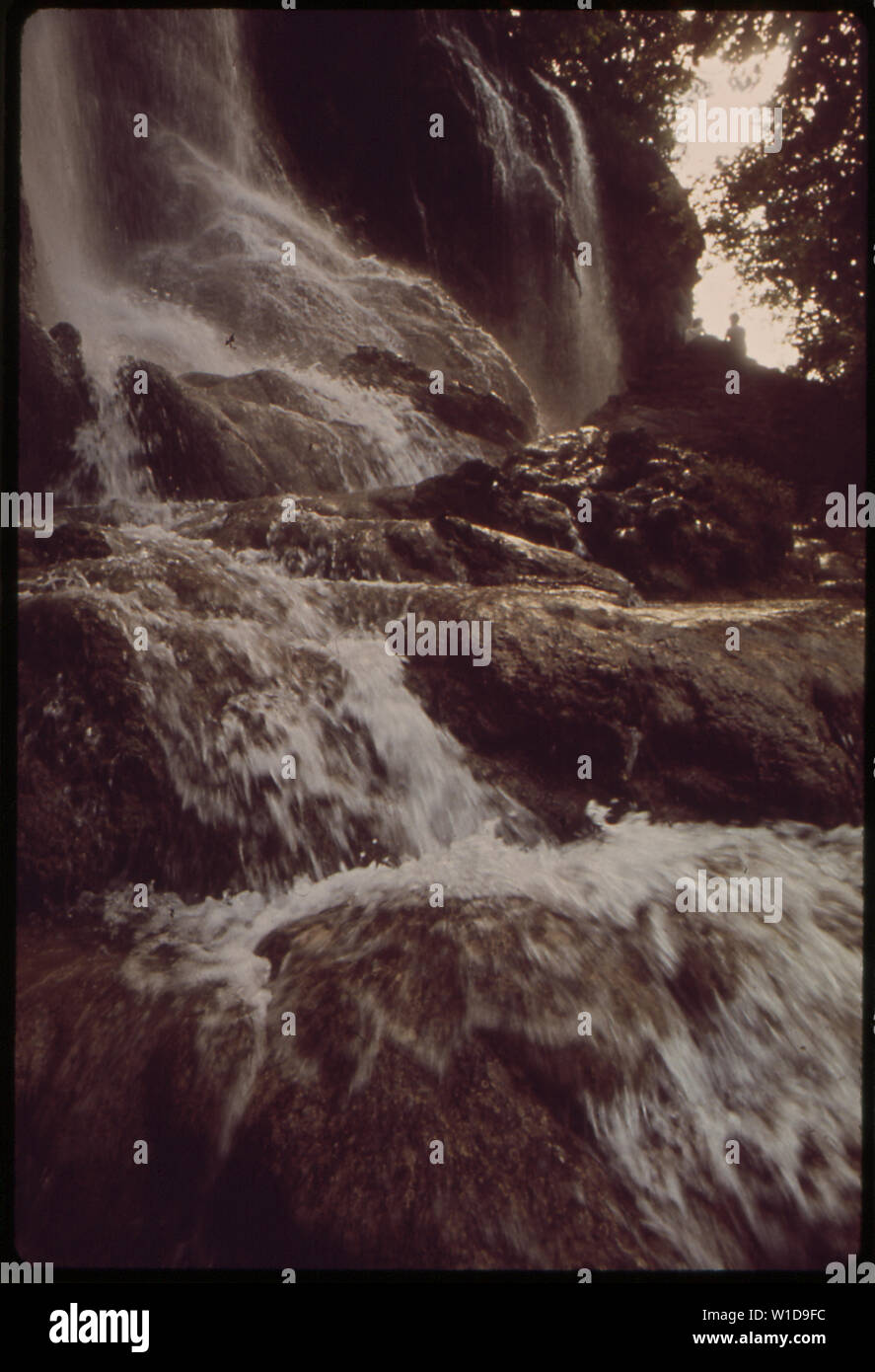 GORMAN FALLS - un endroit propre, L'EAU DE SOURCE CREEK. Il SE JETTE DANS LE FLEUVE COLORADO Banque D'Images