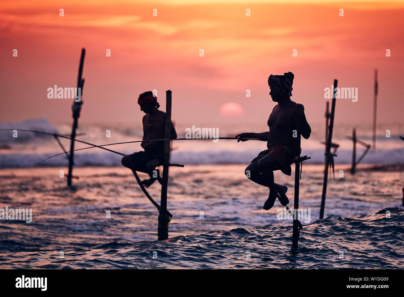 Silhouettes des pêcheurs traditionnels. Pêche à échasses traditionnelles près de Galle au Sri Lanka. Banque D'Images