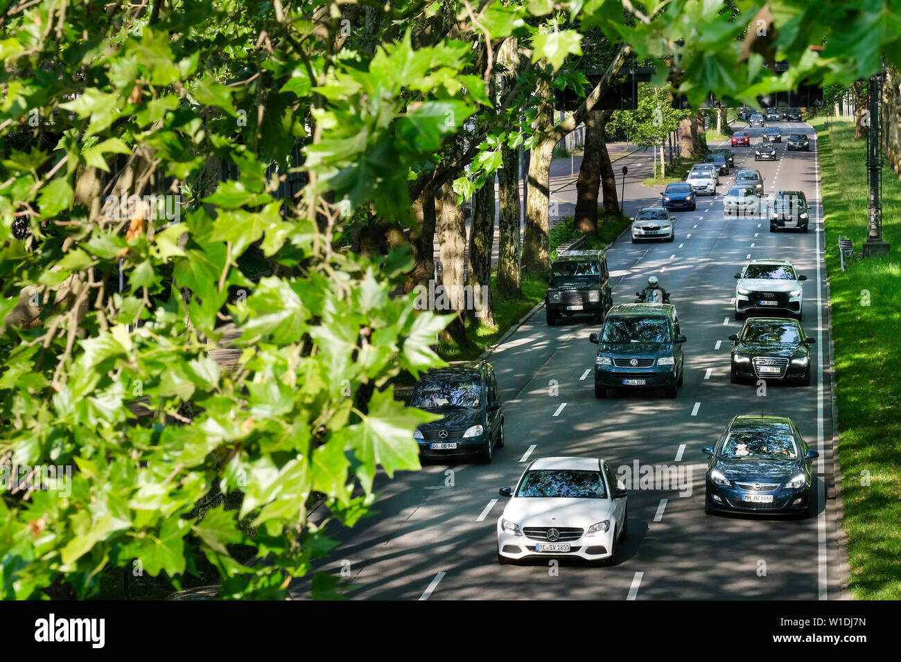 Les voitures roulent entre les platanes du vieil arbre de l'avenue de la Federal Highway No.1 (Ruhrschnellweg) dans la zone urbaine de Dortmund, Allemagne. --- Autos fahren in der alten Plantanen Baumallee auf der Deutschen Alleenstraße der Bundesstraße 1 Ruhrschnellweg im Stadtgebiet von Dortmund, Allemagne. Banque D'Images