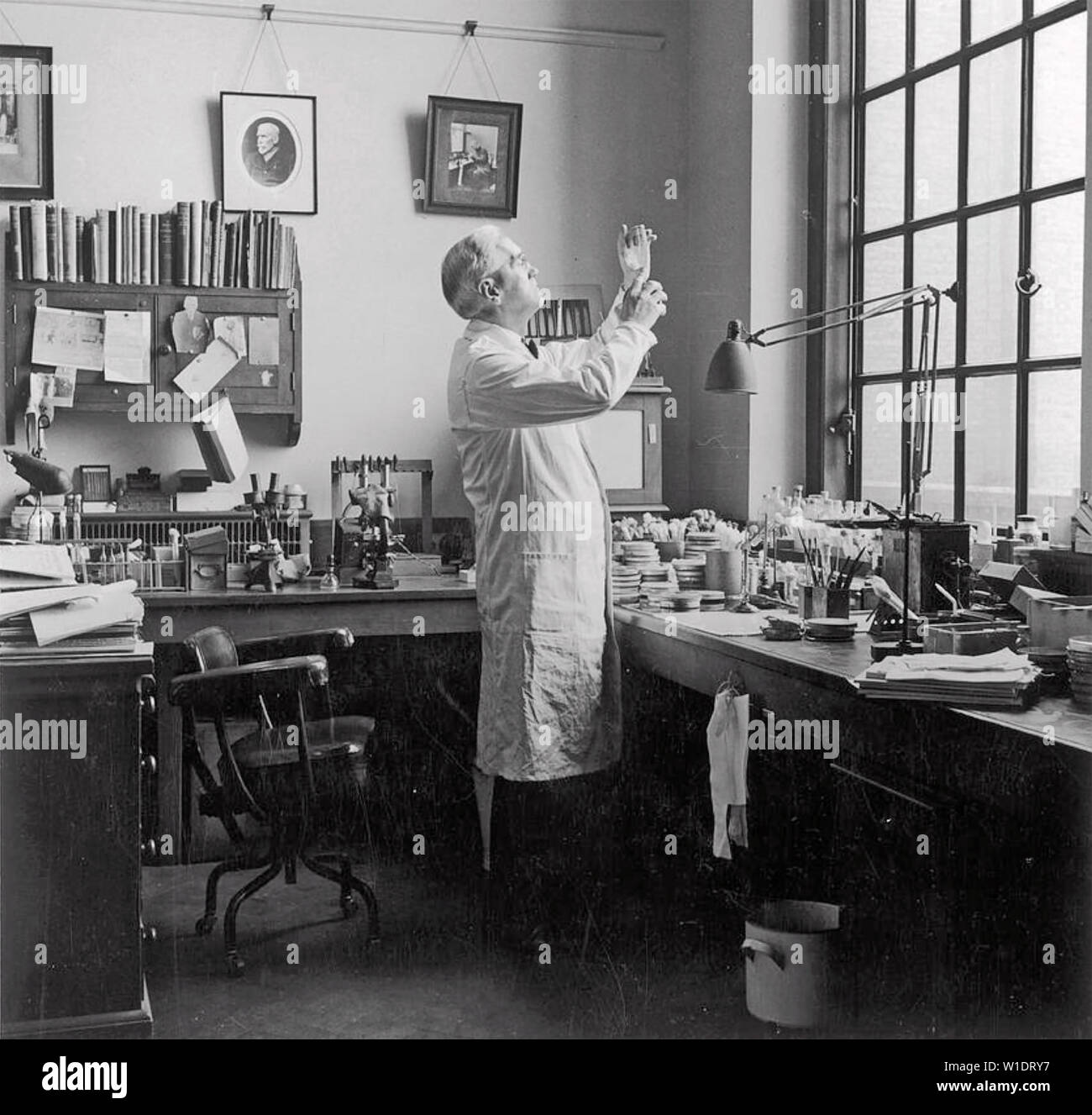 ALEXANDER Fleming (1881-1955), médecin et biologiste écossais du Prix Nobel Banque D'Images