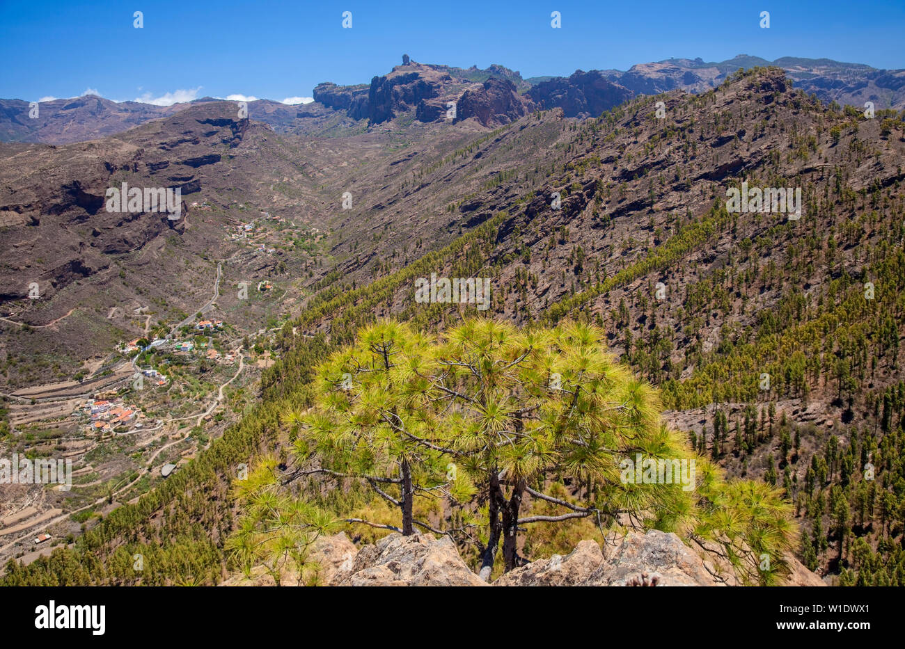 Gran Canaria, juin, vue d'un sommet Morro de Pajonales vers le centre de l'île, Roque Nublo emblématique visible, Nature Park Pajonales Banque D'Images