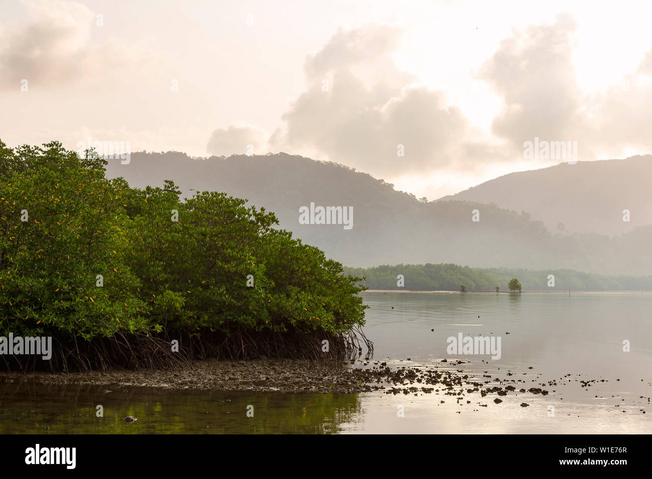 Des mangroves à l'embouchure de la rivière avec un fond de montagnes et nuages le matin. Banque D'Images