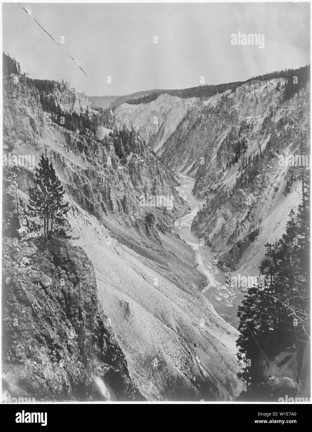 Grand Canyon de la Yellowstone, du bord de la partie inférieure des chutes. Le Parc National de Yellowstone. Banque D'Images