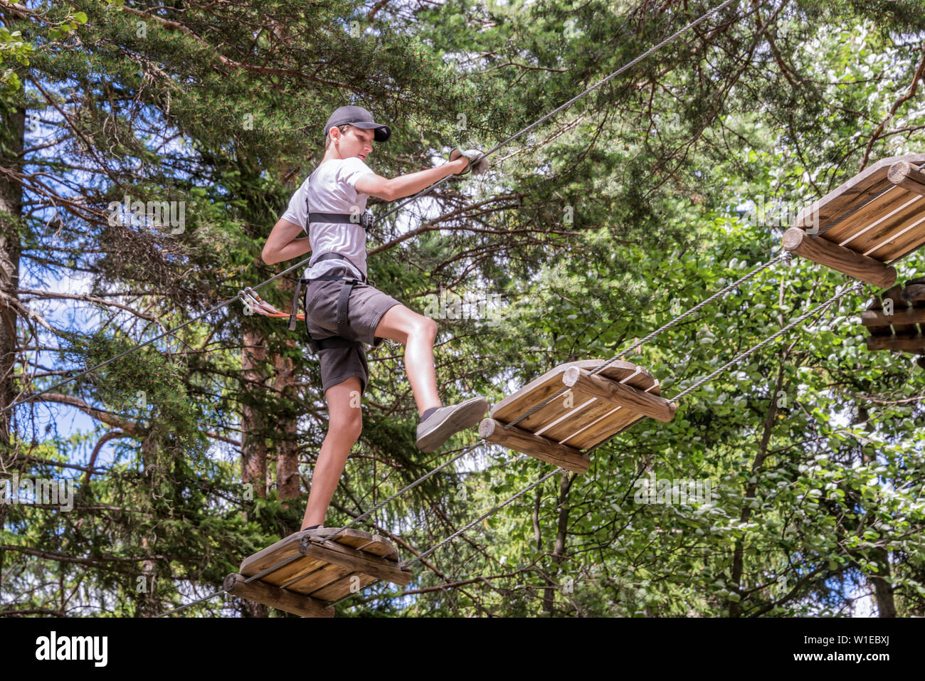 Adolescent s'amuser sur des parcours, l'aventure, parc, grimper aux arbres dans une forêt en été Banque D'Images