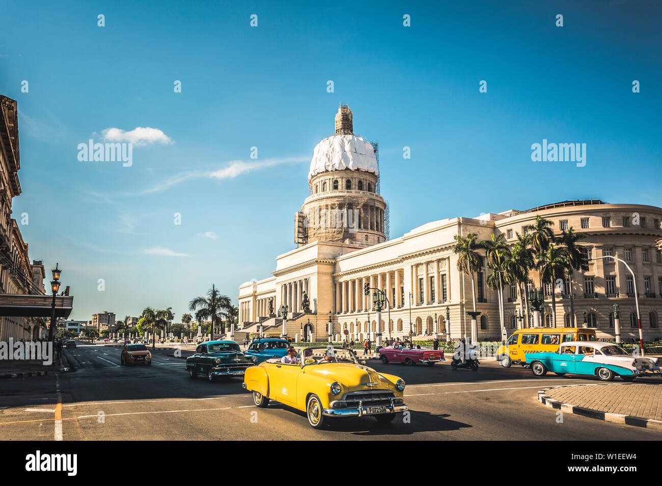 Un classique américain jaune voiture dehors El Capitolio à La Havane, La Havane, Cuba, Antilles, Caraïbes, Amérique Centrale Banque D'Images Un classique américain jaune voiture dehors El Capitolio à La Havane, La Havane, Cuba, Antilles, Caraïbes, Amérique Centrale Banque D'Images