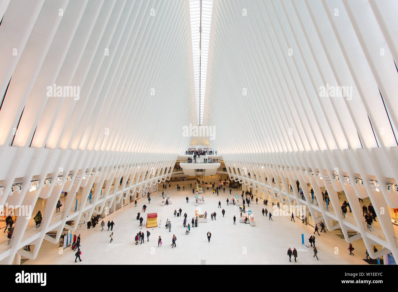 Oculus, World Trade Center Transportation Hub, Financial District, Manhattan, New York City, New York, États-Unis d'Amérique, Amérique du Nord Banque D'Images
