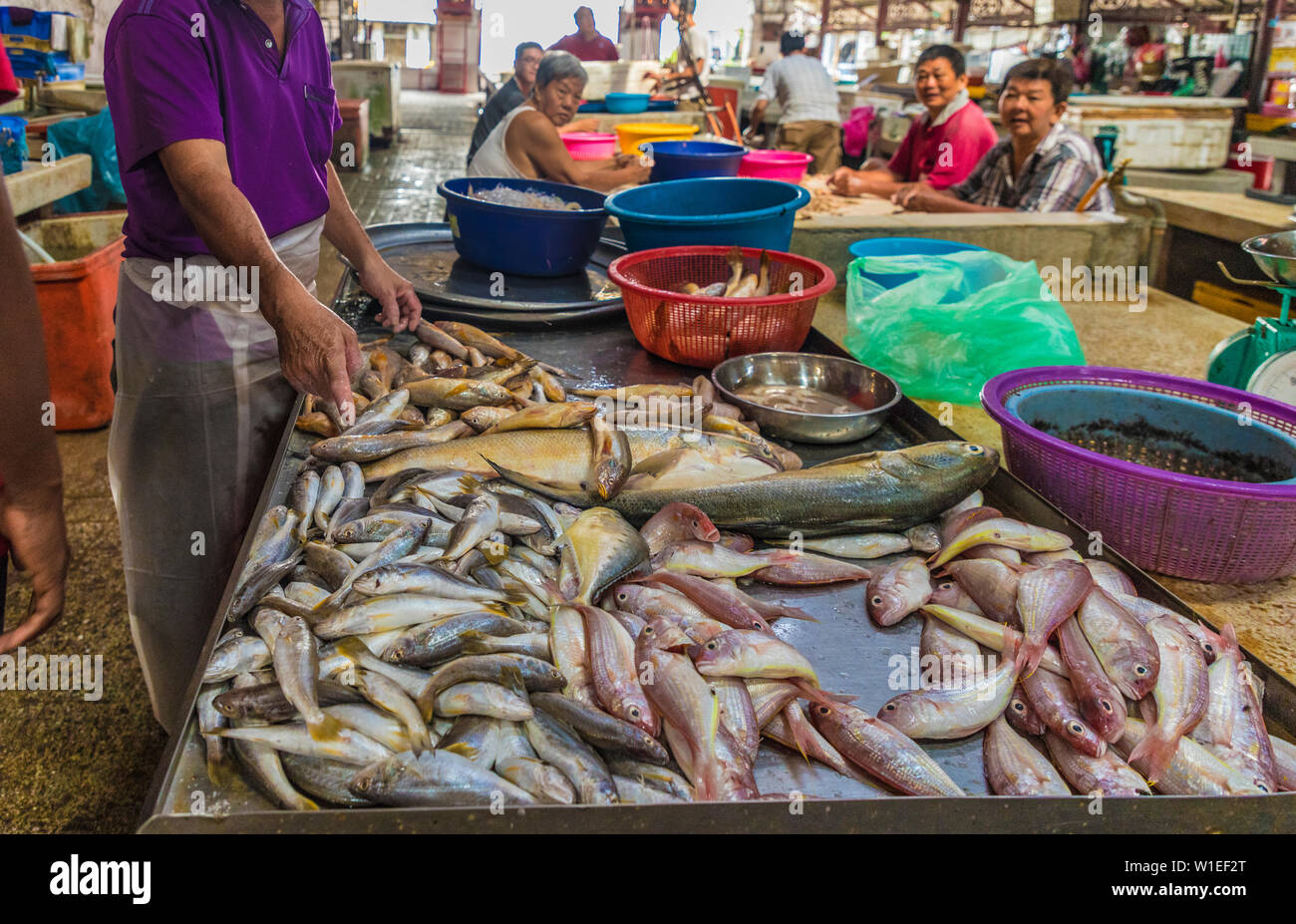 Décrochage du poisson dans la région de Campbell Street Market dans George Town, UNESCO World Heritage Site, Penang, Malaisie, Asie du Sud, Asie Banque D'Images