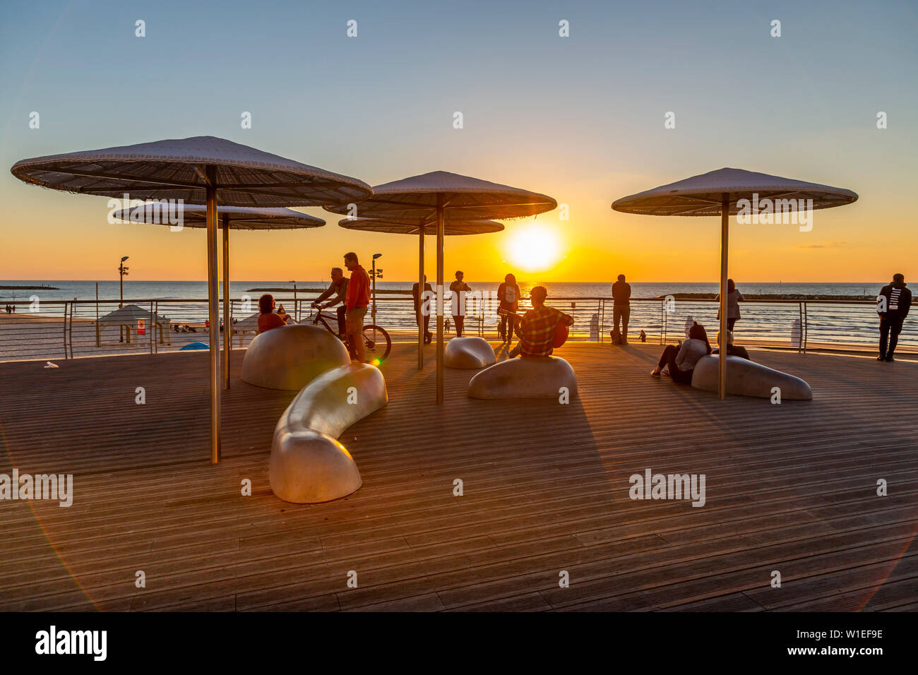 Avis de parasols sur promenade au coucher du soleil, Hayarkon Street, Tel Aviv, Israël, Moyen Orient Banque D'Images