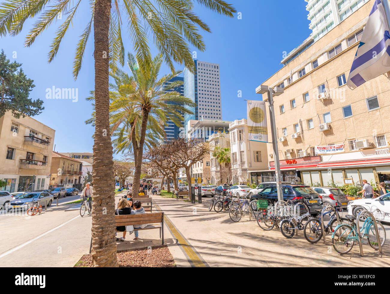 Vue sur les palmiers et promenade sur le Boulevard Rothschild, Tel Aviv, Israël, Moyen Orient Banque D'Images