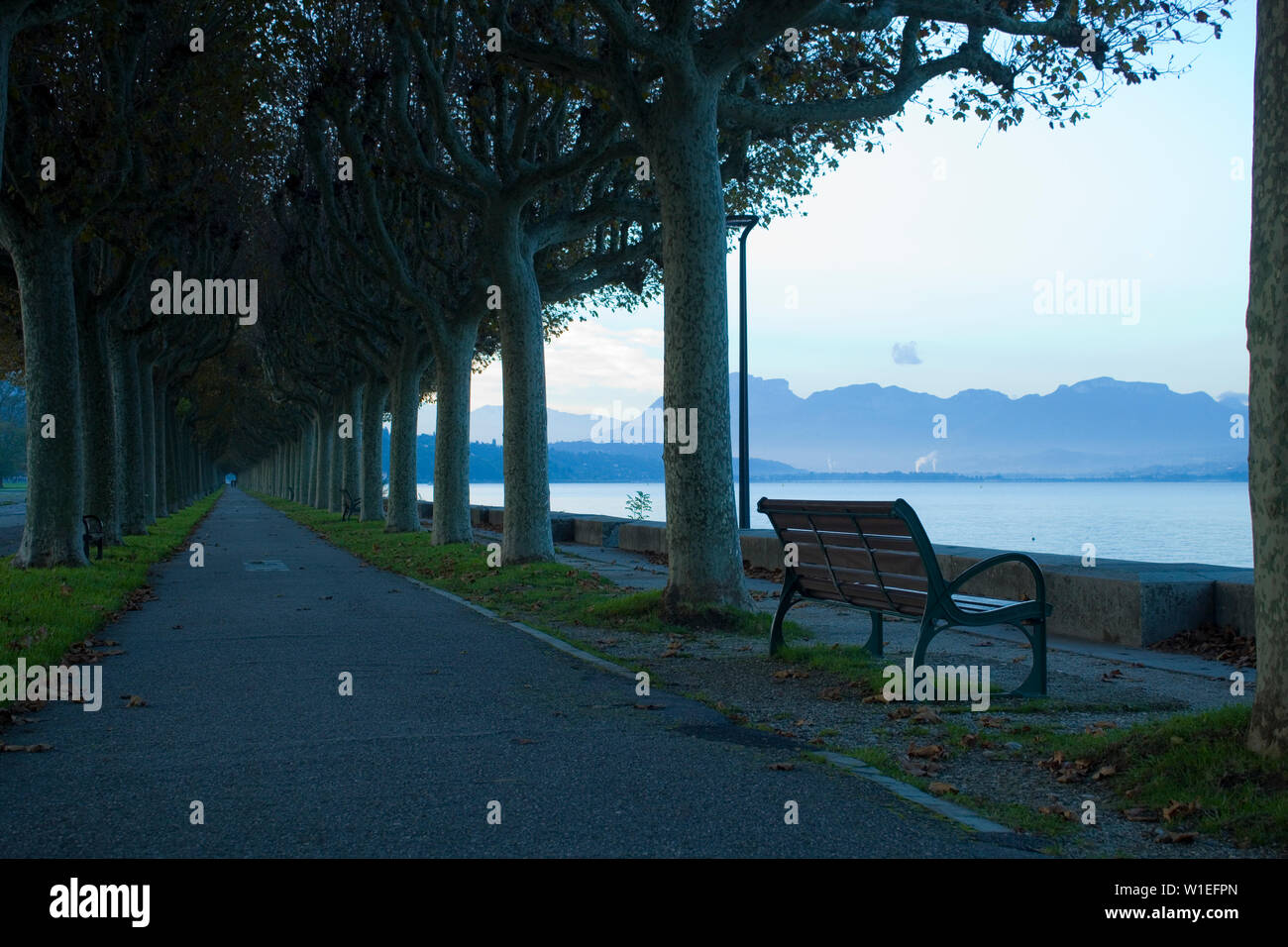 Banque einzelne suis Voir Bourget, Platanen-Allee an der Strandpromenade von Aix-les-Bains - banc vide au Lac du Bourget, à distance de marche du lac sur paire Banque D'Images