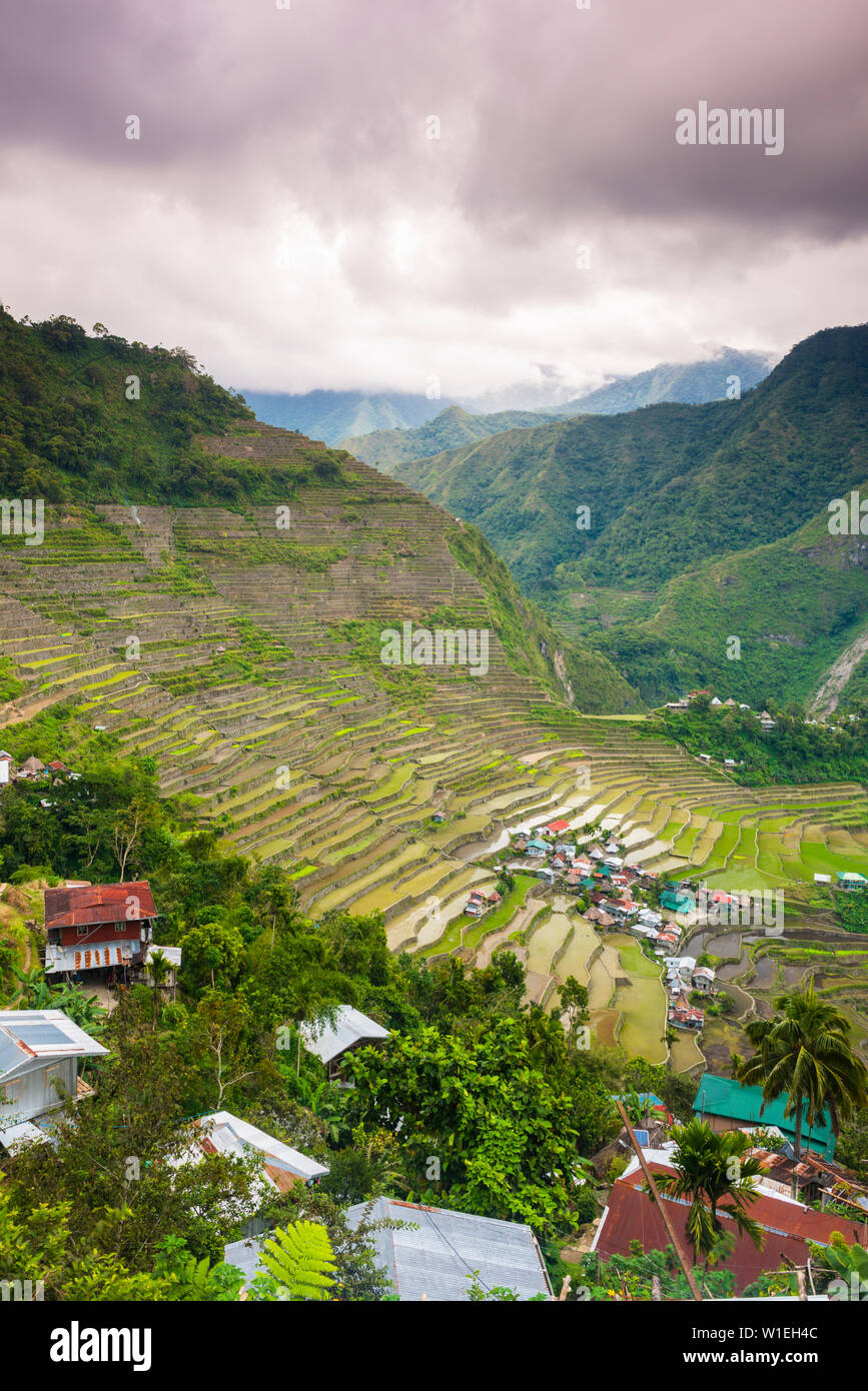 Batad, UNESCO World Heritage Site, Luzon, Philippines, Asie du Sud, Asie Banque D'Images