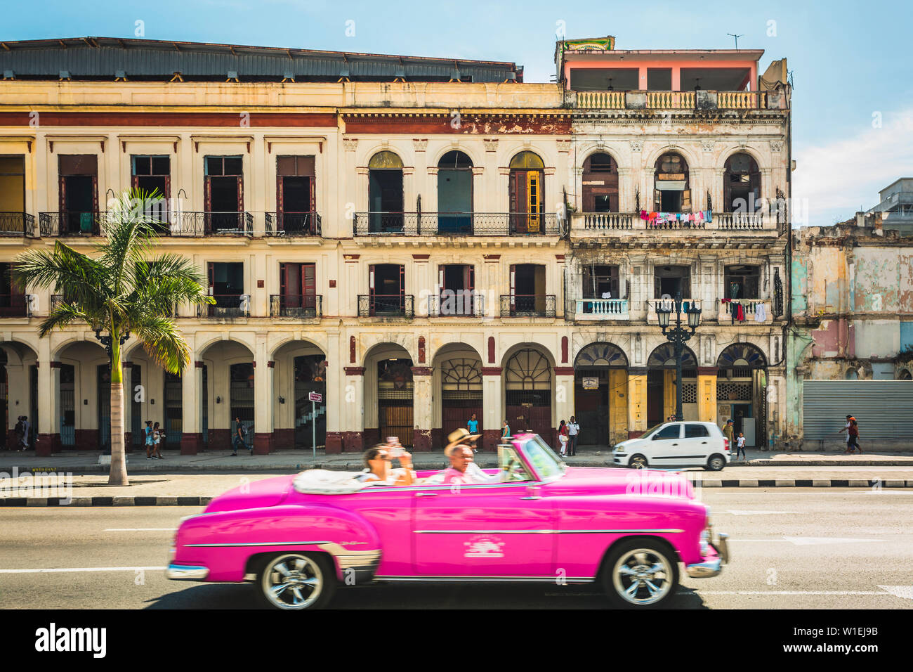 Un classique américain rose voiture à côté de El Capitolio à La Havane, La Havane, Cuba (La Havane), Antilles, Caraïbes, Amérique Centrale Banque D'Images Un classique américain rose voiture à côté de El Capitolio à La Havane, La Havane, Cuba (La Havane), Antilles, Caraïbes, Amérique Centrale Banque D'Images