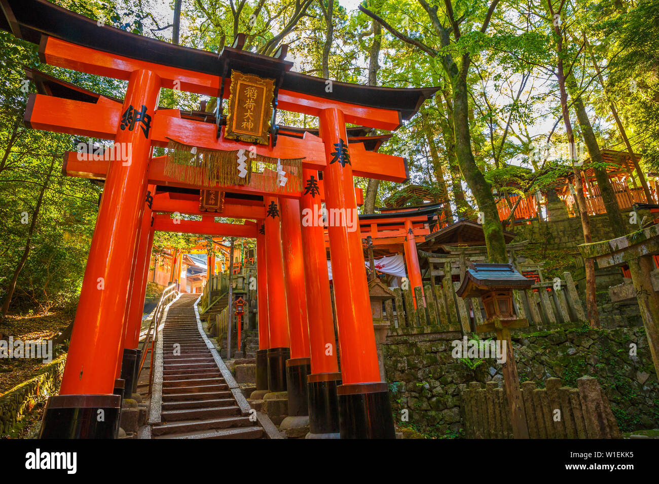 Mille torii gates, Fushimi Inari Taisha, le plus important sanctuaire Shinto, Kyoto, Japon, Asie Banque D'Images