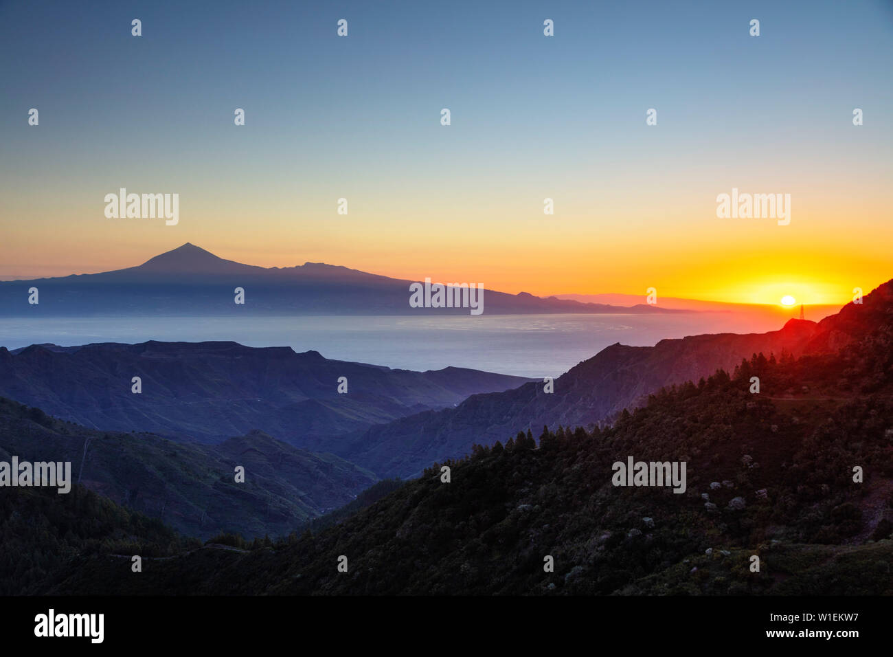Parc National de Garajonay et Tenerife au loin, le Parc National de Garajonay, classé au Patrimoine Mondial de l'UNESCO, La Gomera, Canary Islands, Spain, Atlantique Banque D'Images