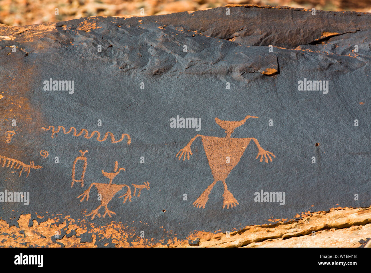 La fiche de l'homme, l'ours de Petroglyph National Monument les oreilles, Utah, États-Unis d'Amérique, Amérique du Nord Banque D'Images