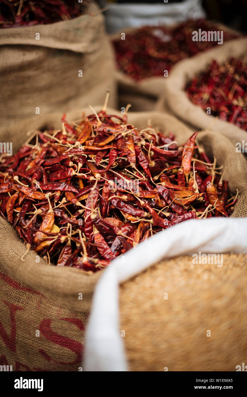 Marché de Jaffna, Jaffna, Province du Nord, Sri Lanka, Asie Banque D'Images