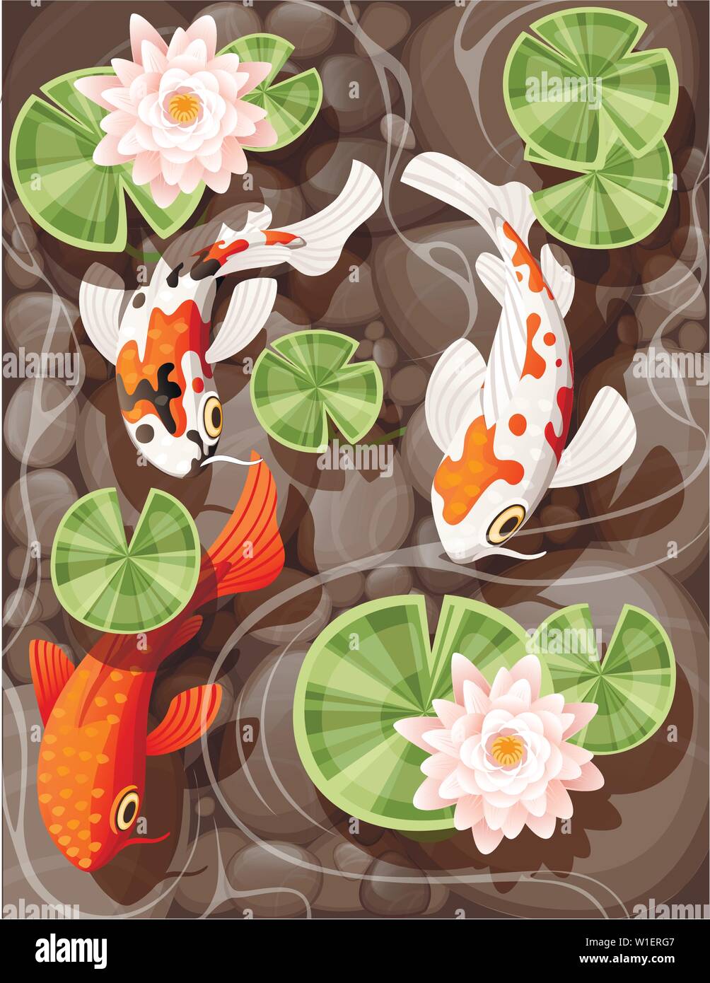 La carpe koï nageant dans un étang avec lily lotus avec des feuilles vertes sur l'eau transparente et de pierre bas télévision vector illustration Illustration de Vecteur