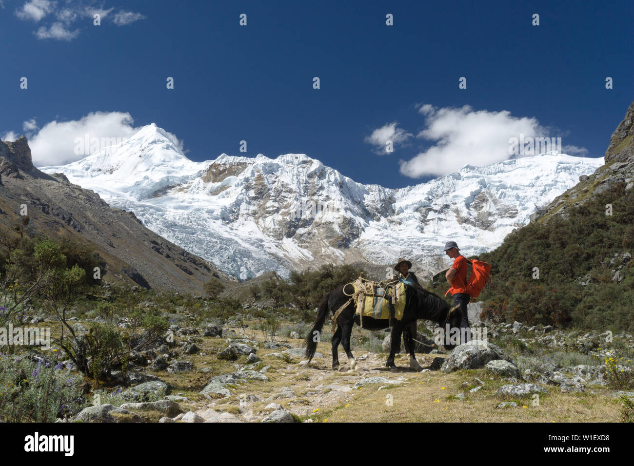 Vallée de l'Ishinca, Ancash / Pérou - 18. Juin 2016 : mountain climber examine les salaires et les tarifs avec un local ou pour le transport d'arriero muleskinner climbin Banque D'Images