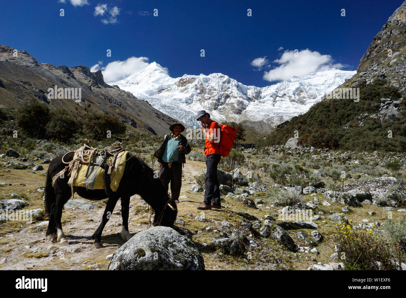 Vallée de l'Ishinca, Ancash / Pérou - 18. Juin 2016 : mountain climber examine les salaires et les tarifs avec un local ou pour le transport d'arriero muleskinner climbin Banque D'Images