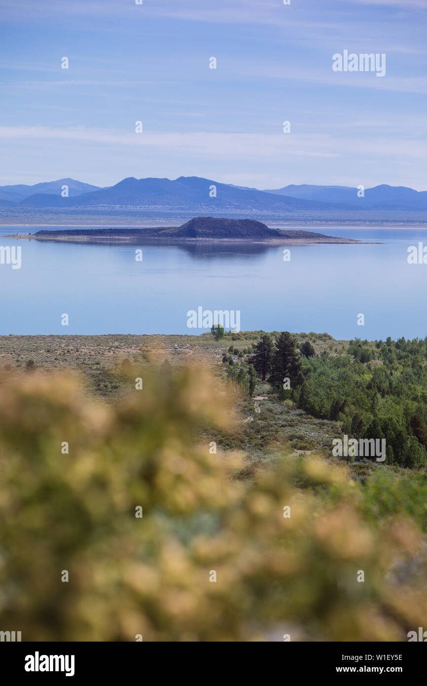 Paoha Island, dans le parc du lac Mono, vue depuis le centre d'accueil de Mono Basin, Lee Vining, Californie, États-Unis Banque D'Images