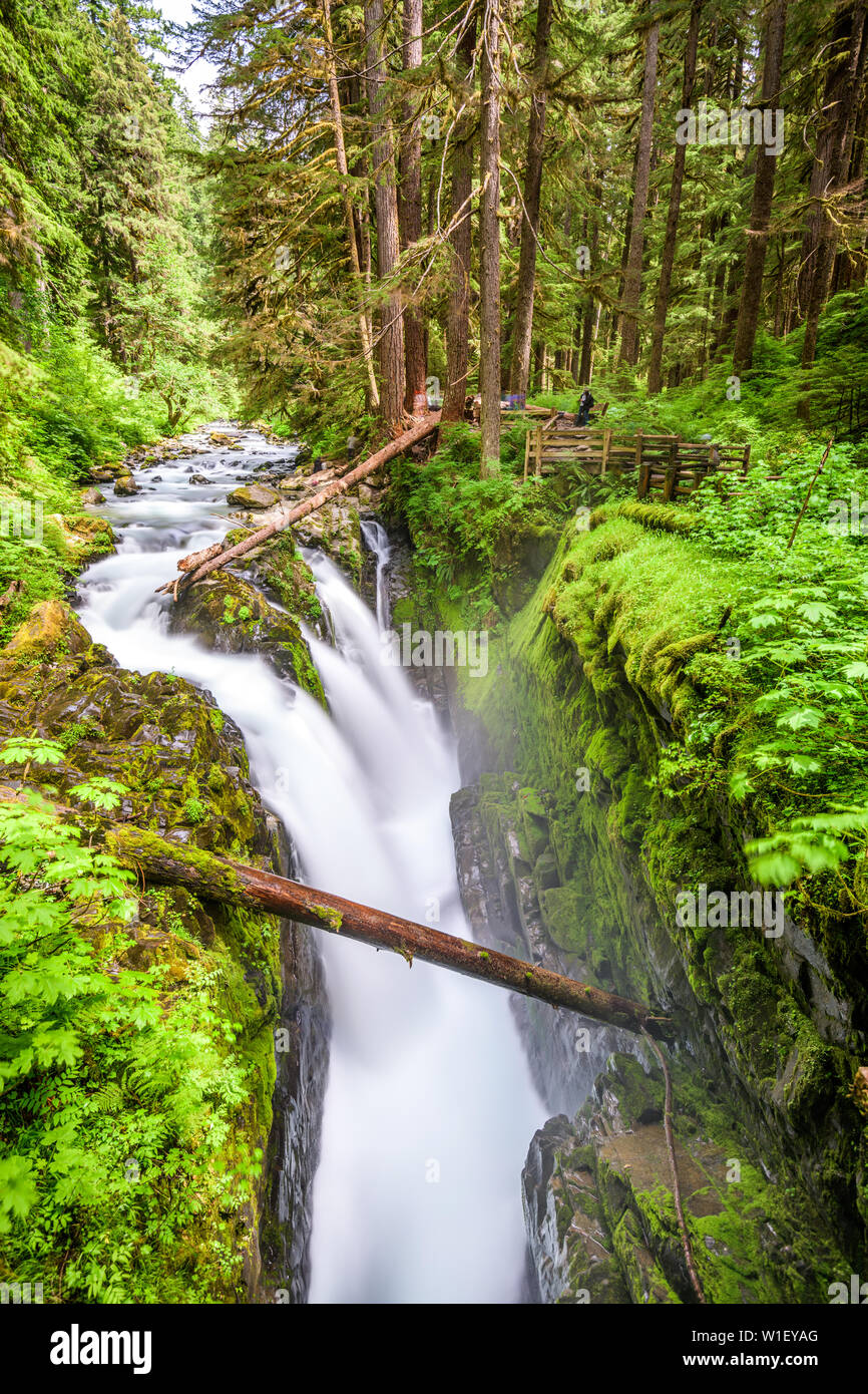 Sol Duc falls in Olympic National Park, Washington, USA. Banque D'Images