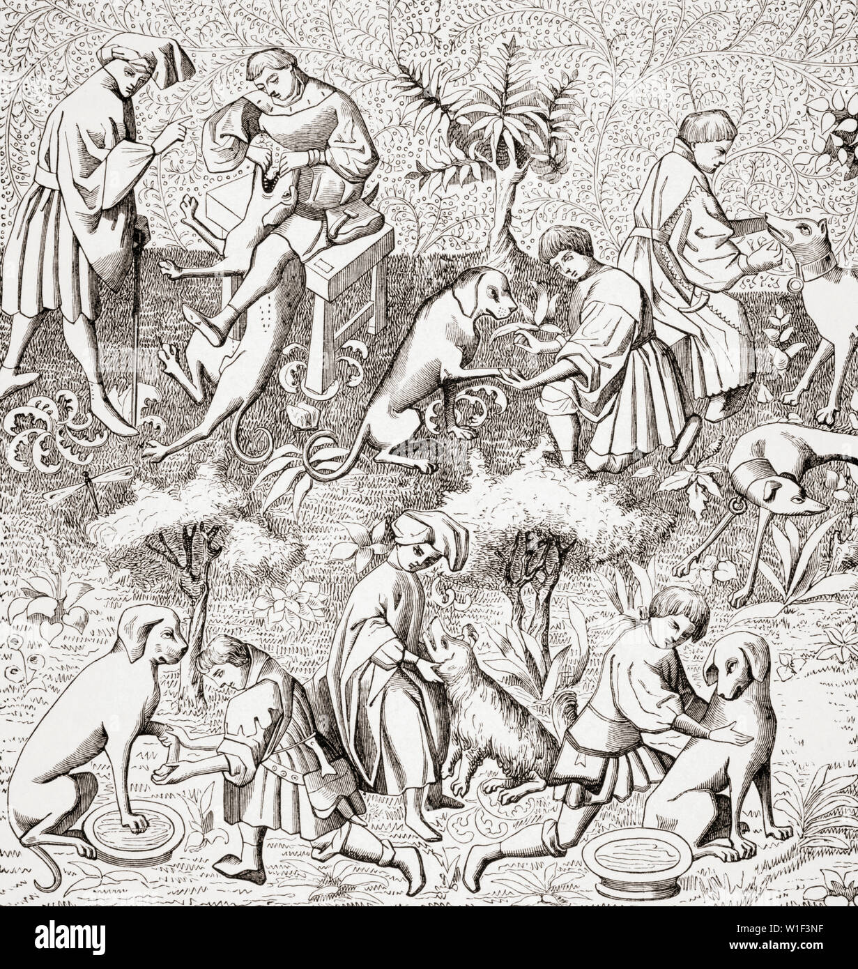Les maladies des chiens et leurs traitements. 19e siècle de reproduction en miniature 14e siècle manuscrit de Phoebus Banque D'Images
