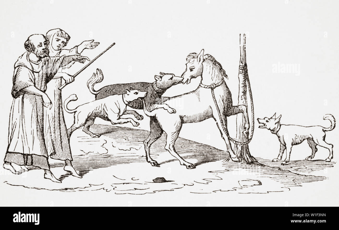 Lutte entre les chevaux et les chiens. 19e siècle reproduction d'un manuscrit du 13e siècle. Banque D'Images