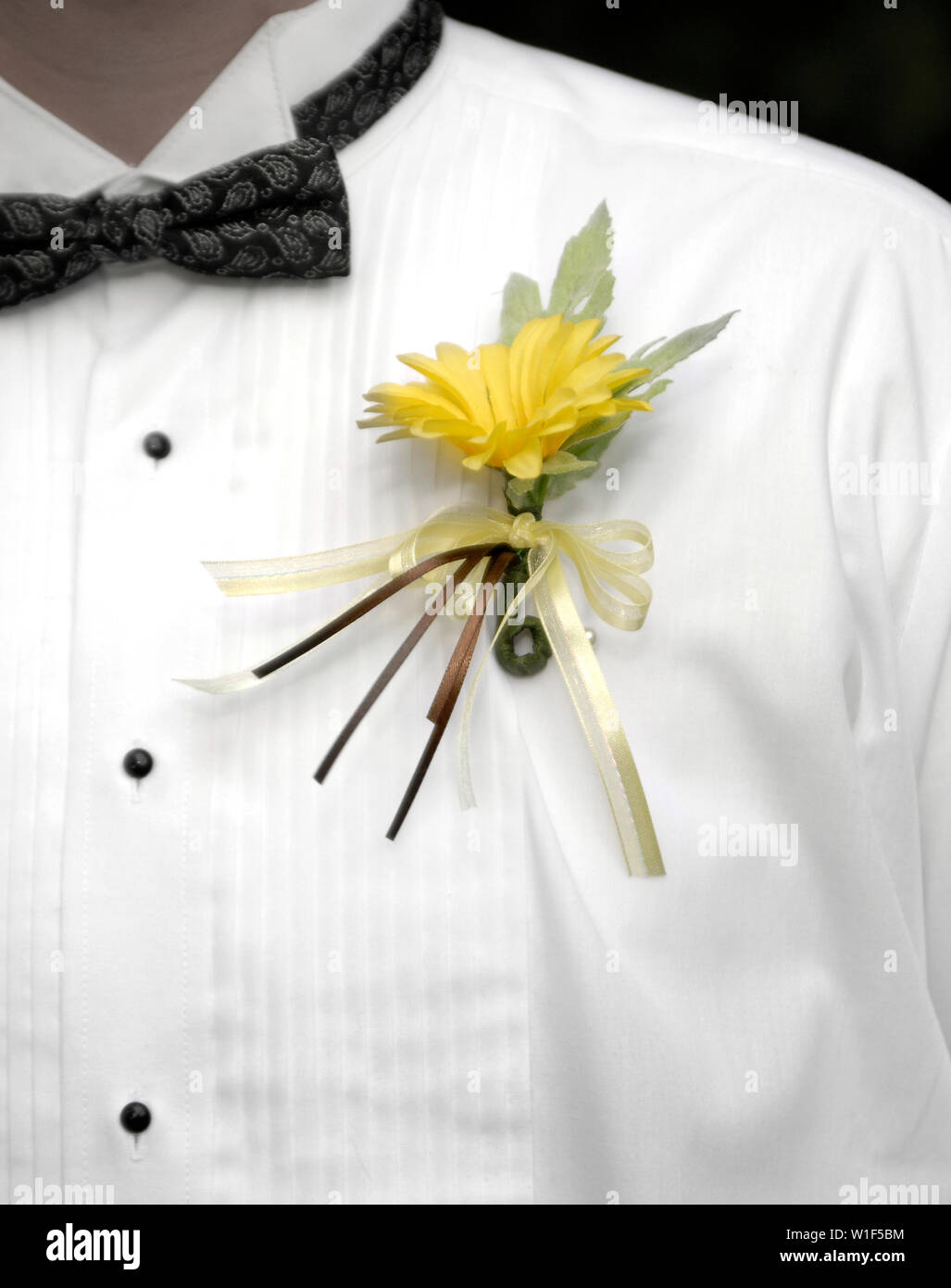 Homme portant costume et cravate officielle pour la danse de mariage ou de  fleurs Photo Stock - Alamy