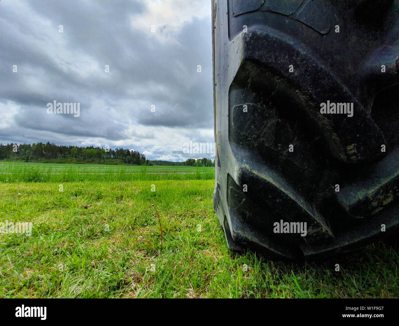 Le pneu du tracteur sur le vert des champs. Banque D'Images