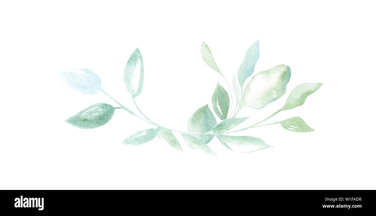 Illustration de l'aquarelle dessin les éléments de décoration de plantes vertes et de feuilles dans la forme d'images sur un fond blanc. Banque D'Images