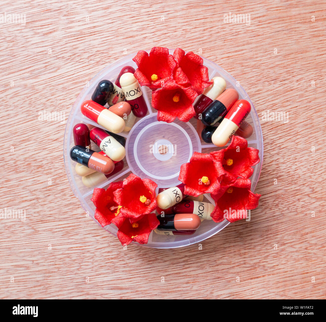 Image concept homéopathie : hebdomadaire comprimé organiseur avec fleurs et antibiotiques Banque D'Images