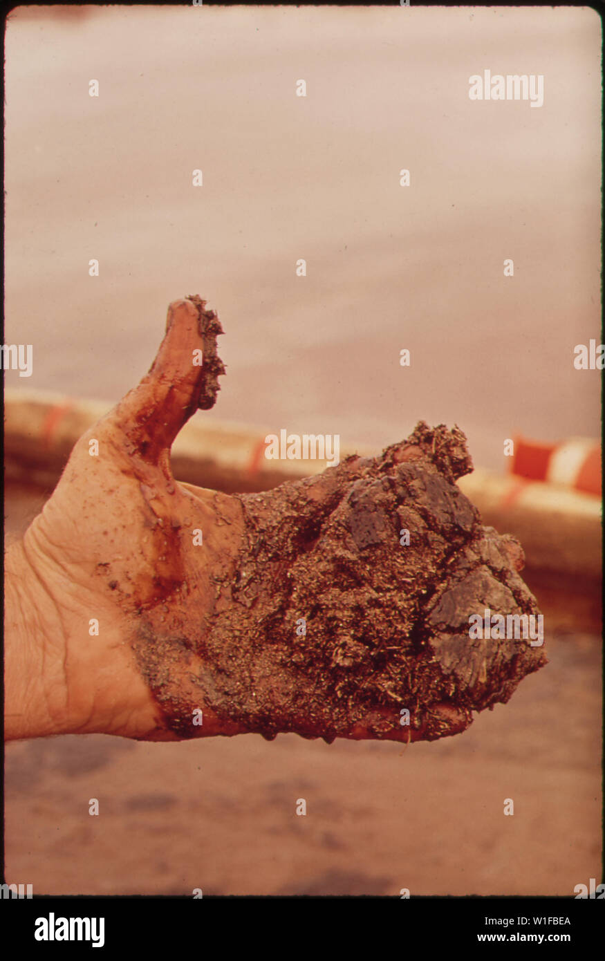 En octobre 1972, UN PIPELINE DE LA TEXAS-NOUVEAU MEXIQUE PIPELINE COMPANY BURST, libérant 285 000 gallons de pétrole brut DANS LA RIVIÈRE SAN JUAN PRÈS DE SHIPROCK, NOUVEAU MEXIQUE. L'EST ÉCOULÉ quelque 200 milles en aval avant d'être contenue derrière une à l'OUEST DE PIUTE fermes, dans la région de Monument Valley, Utah. Un officiel de l'EPA EST TITULAIRE D'UN ÉCHANTILLON D'HUILE ensoleillés, À LA BOUE SITE DE FLÈCHE Banque D'Images